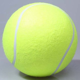 Riesen Tennisball (24cm) f&uuml;r Hunde