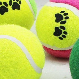 Hundespielzeug Tennisball Bunt