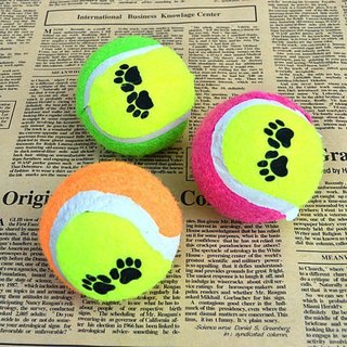 Hundespielzeug Tennisball Bunt