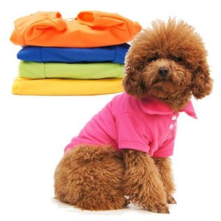 Hunde Polo-Shirt Hellblau XS