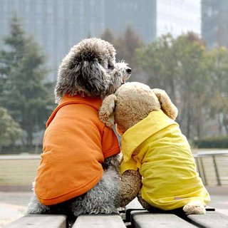 Hunde Polo-Shirt Gelb XS