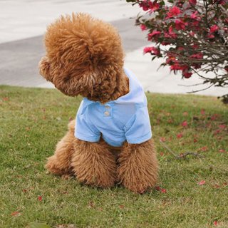 Hunde Polo-Shirt Rosa M