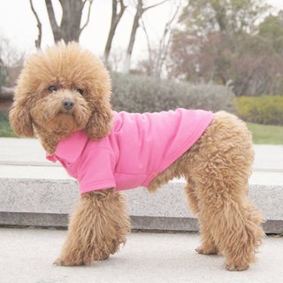 Hunde Polo-Shirt Rosa L