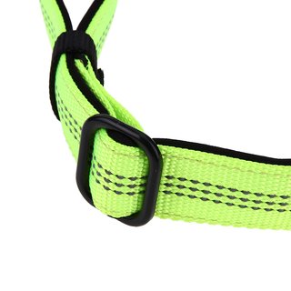 Nylon Halsband f&uuml;r Hunde / Reflektierend / Hundehalsband / Nylonhalsband