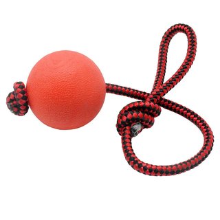 Spielball f&uuml;r Hunde mit Seil